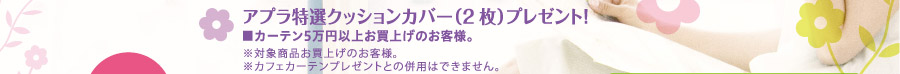 アプラ特選クッションカバープレゼント